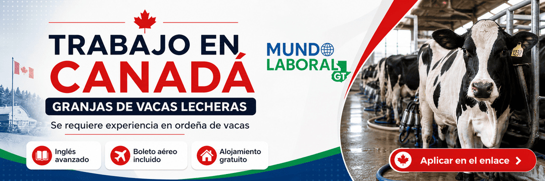 VACANTE EN CANADÁ – TRABAJADORES PARA GRANJAS DE VACAS LECHERAS 🐄🥛 post thumbnail image